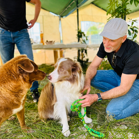 Pax a border collie, and Bobi, the oldest dog in the world saying hello in Portugaln the world 