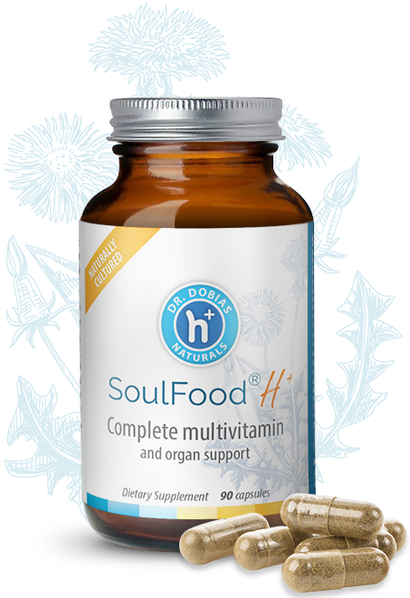 SoulFood H+ natural fermented multivitamin