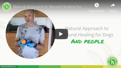 Natural Approach to Wound Healing