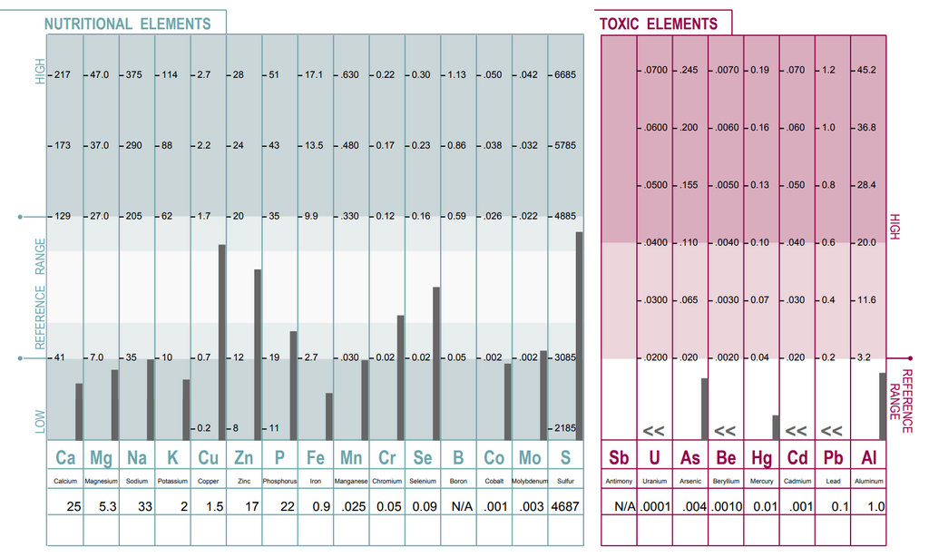 HairQ Test results showing low mineral levels