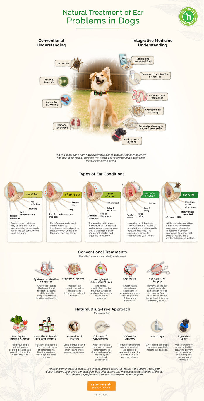 Common reasons for ear infections