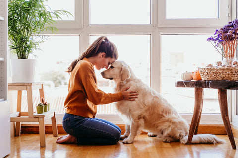 Woman and dog kneeling facing each other with their foreheads touching