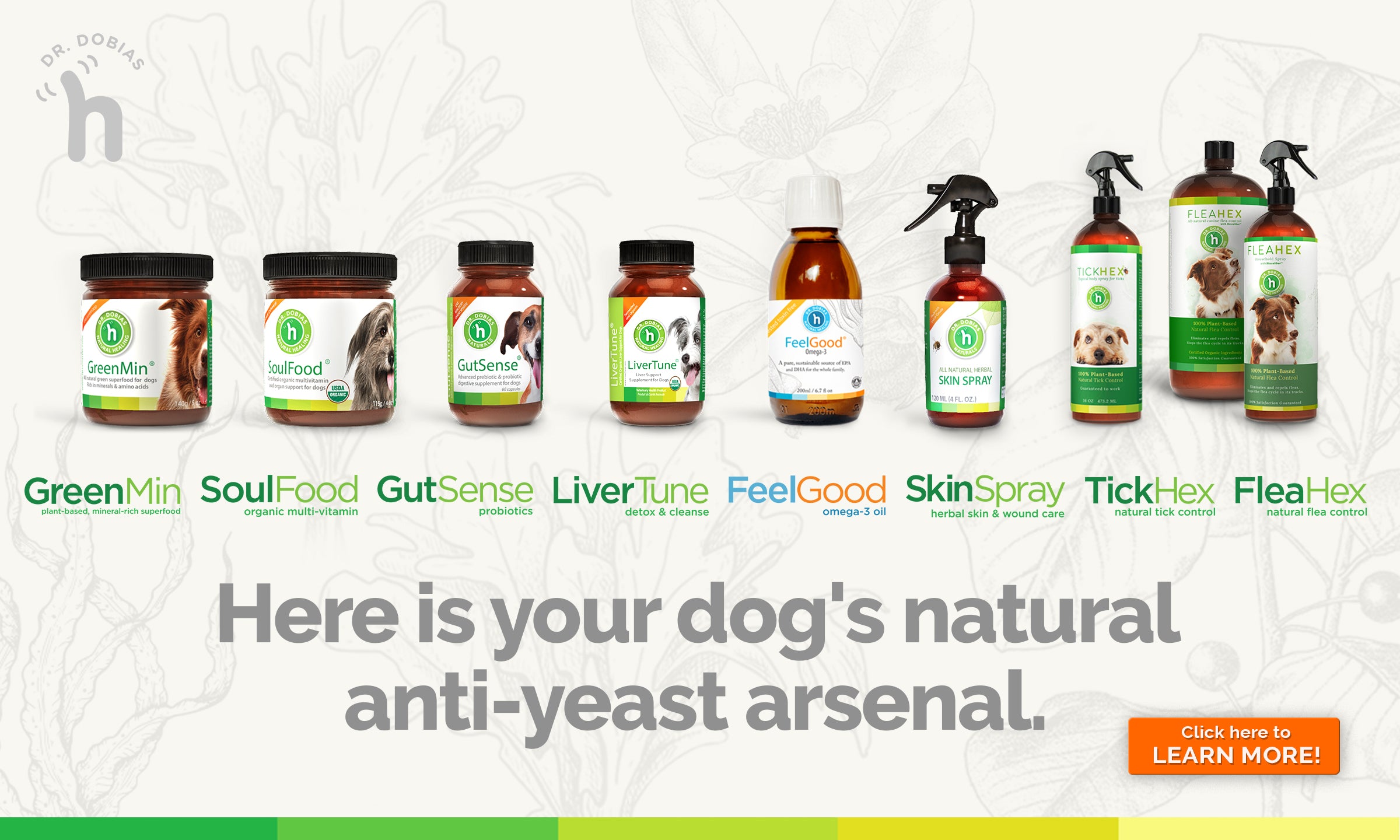 Anti-yeast arsenal collection page