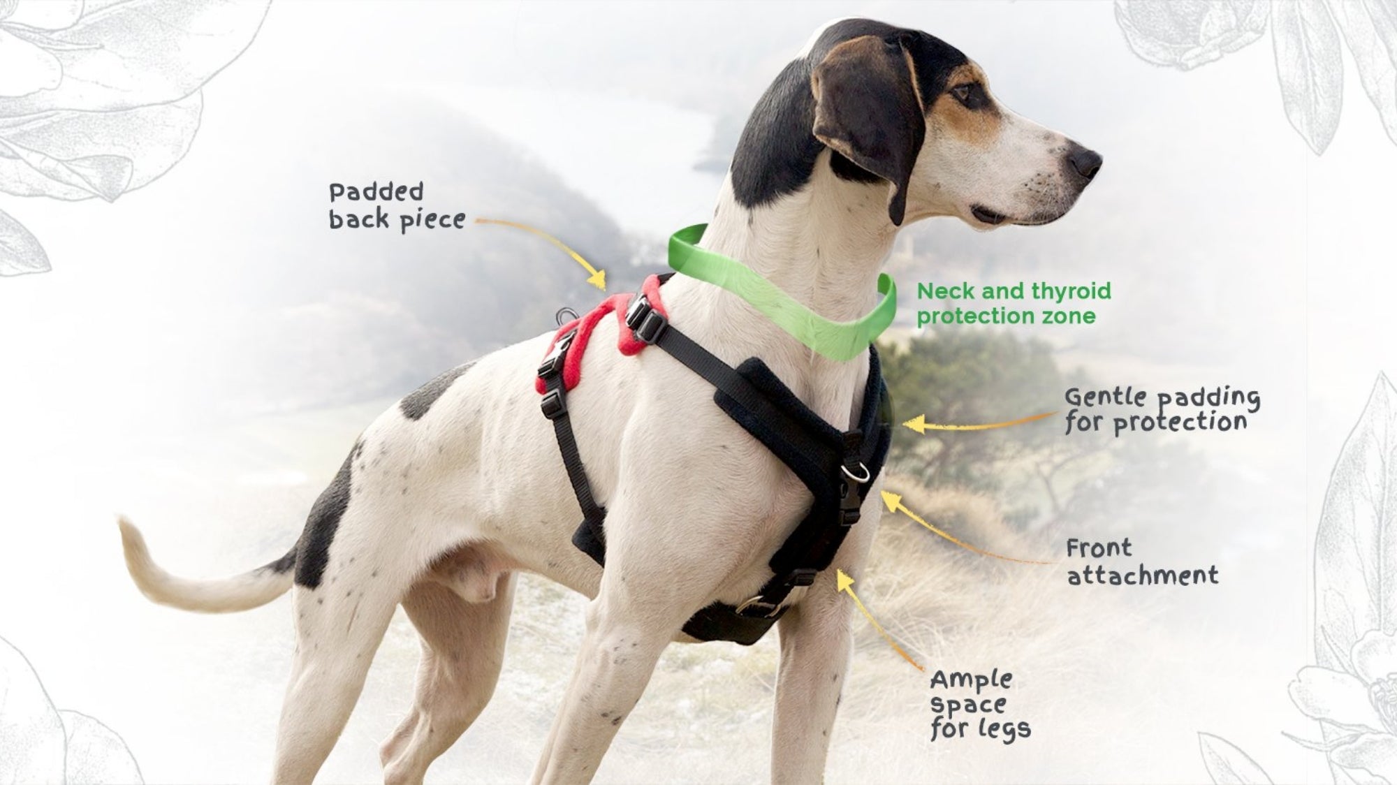 the perfect fit dog harness