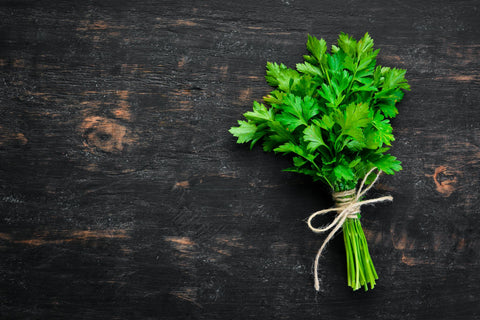 Parsley for dogs