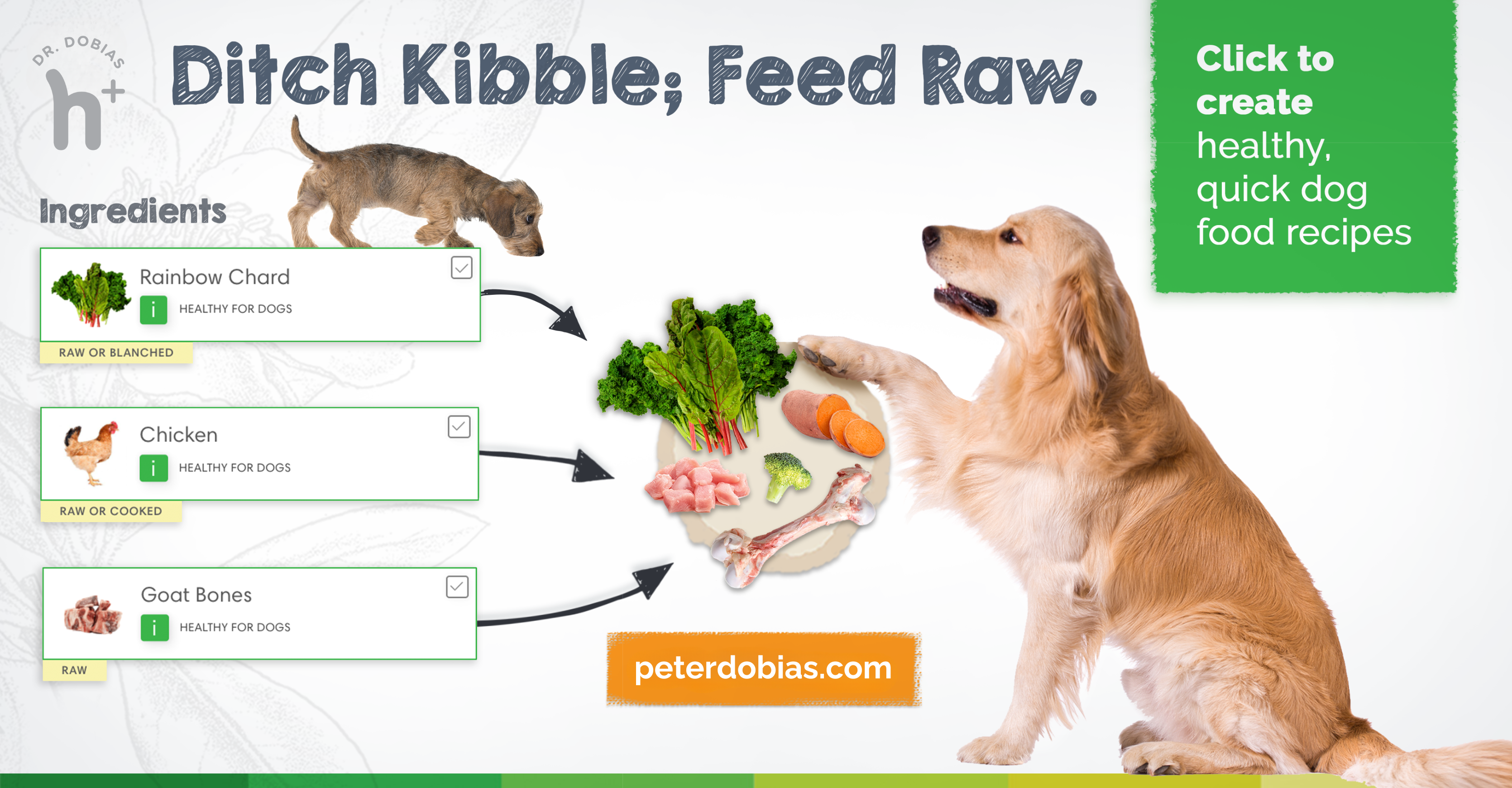 Healthy dog food recipe tool