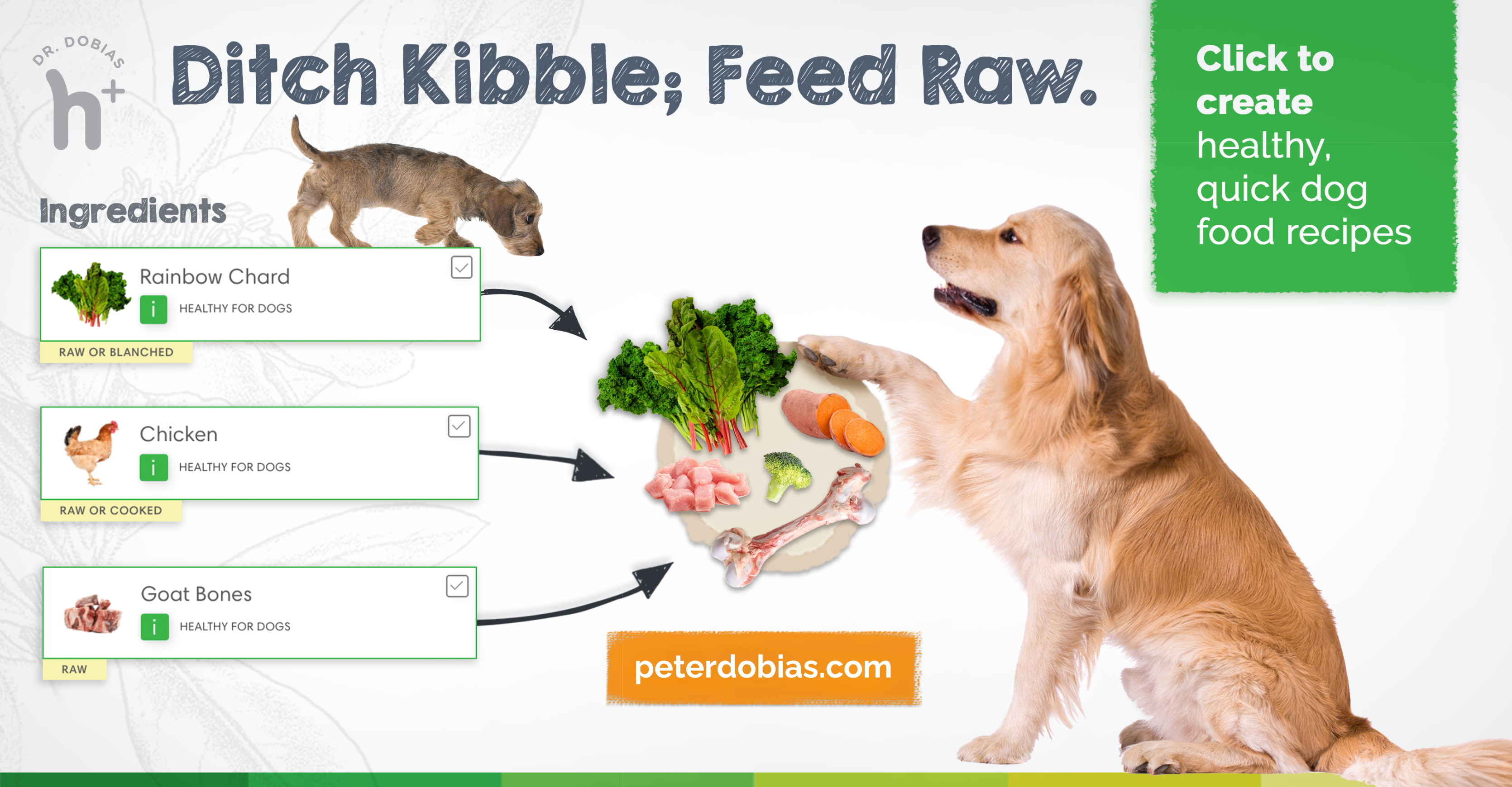 Canine Recipe Maker Infographic