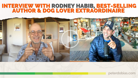 Video interview with Rodney Habib