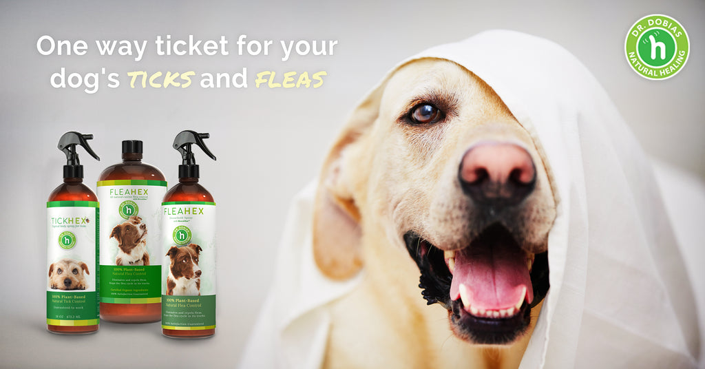 FleaHex and TickHex - natural flea and tick control products for dogs - Dr. Dobias Healing Solutions