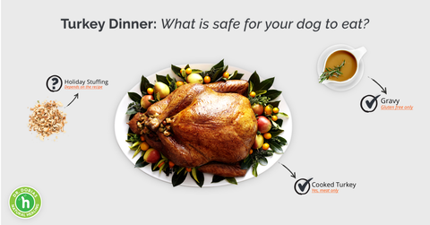 Safe Turkey Dinner for Dogs
