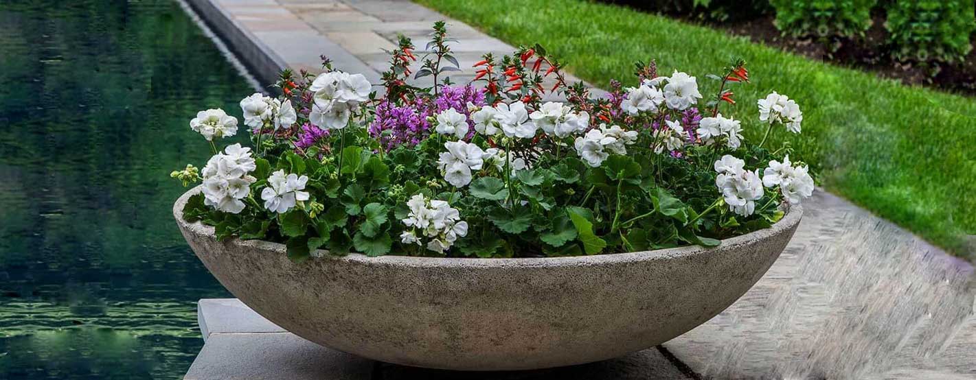 Bowl Planters filled with flowers beside swimming pool