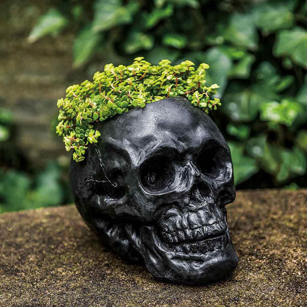 Campania International Skull Planter filled with plants in the backyard