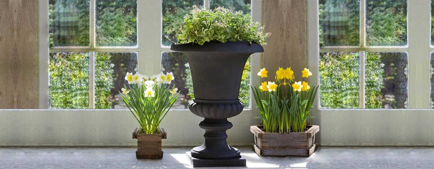 Morganna Lite Urn S/1 filled with plants beside yellow flowers