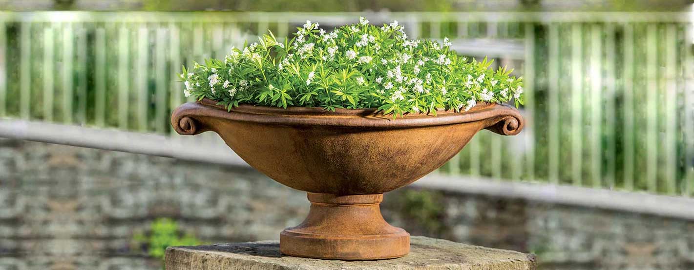 Small Medici Planter filled with white flowers in the backyard