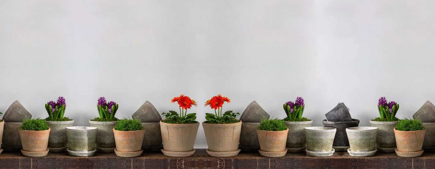 Tall Cylinder Farmers Pot Planter on table against gray wall