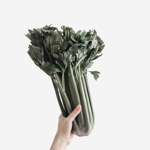 organicspa blog celery stem