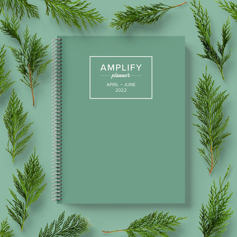 juniper amplify planner