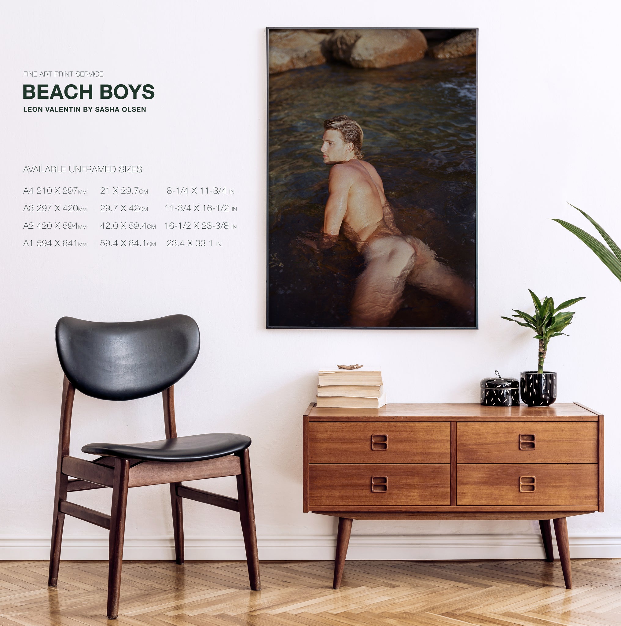 Beach Boys Fine Art Print