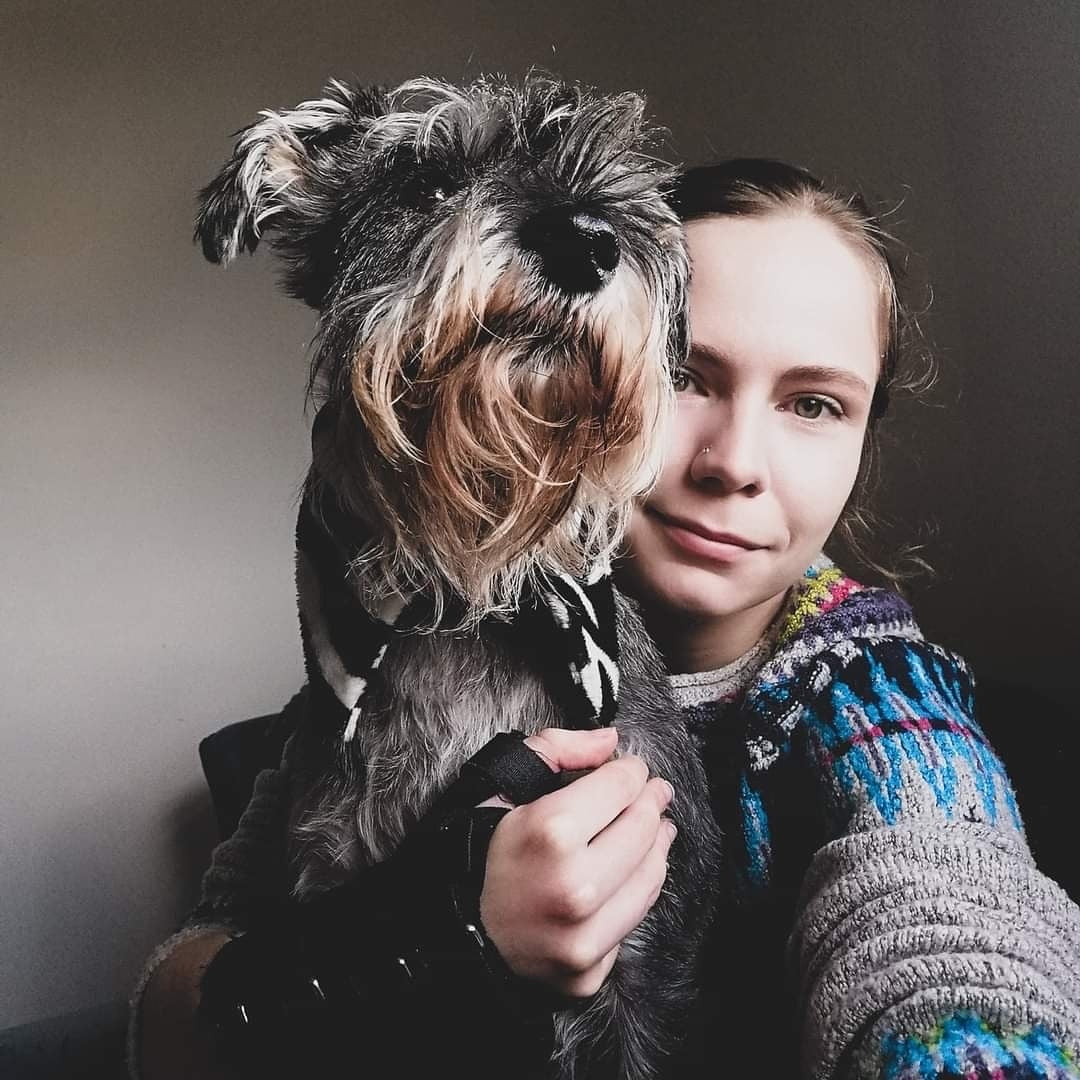 LILY THE STANDARD SCHNAUZER