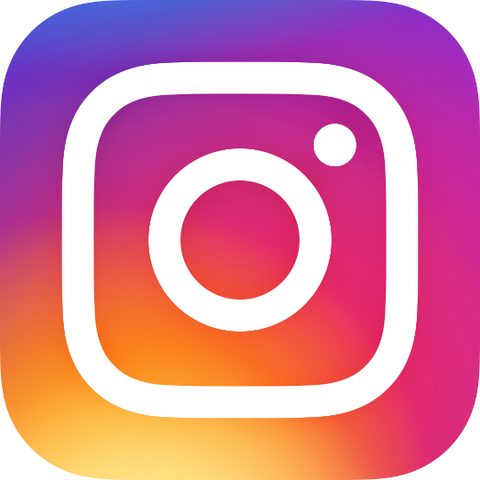Follow us on Instagram | National Schnauzer Day