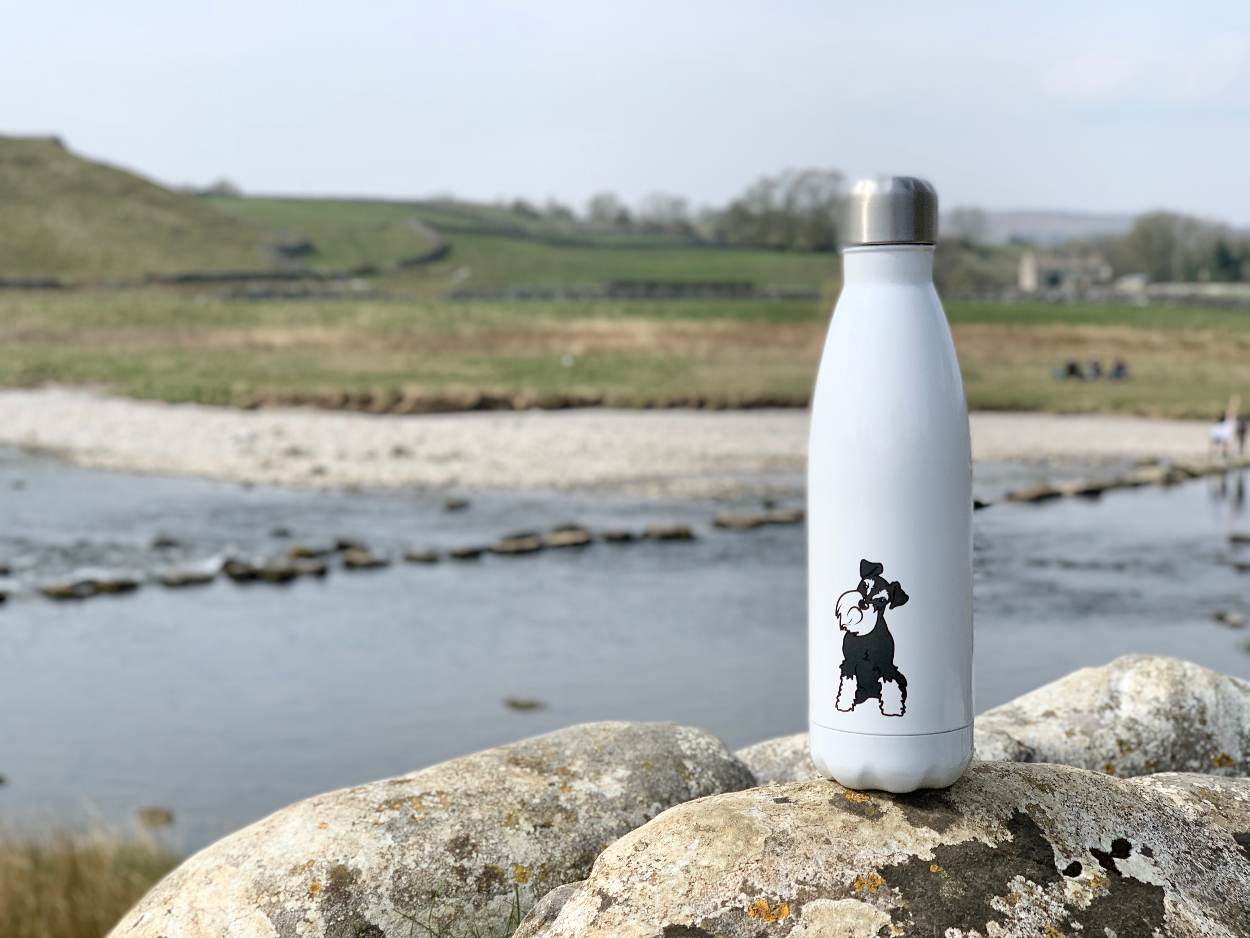 Schnauzer Water Bottle | Moo Moo & Bear