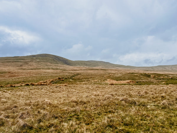 Views of Little Ingleborough and Ingleborough