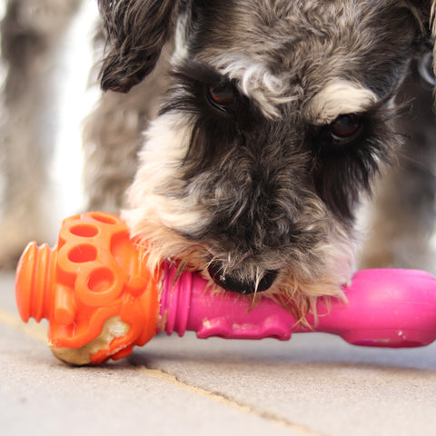 k9 connectable is a great cognitive enrichment toy