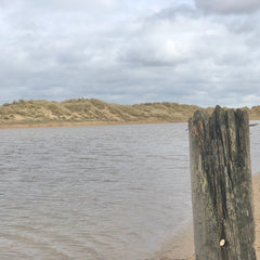 NORFOLK BEACH WALKS WITH DOGS