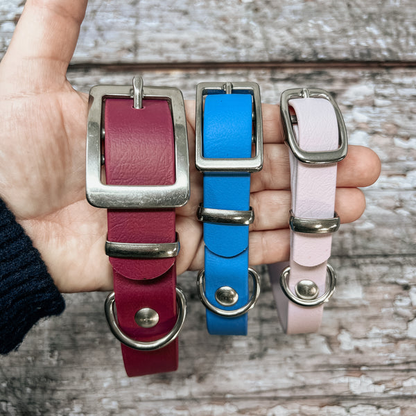 Adventure Biothane dog collar width comparison