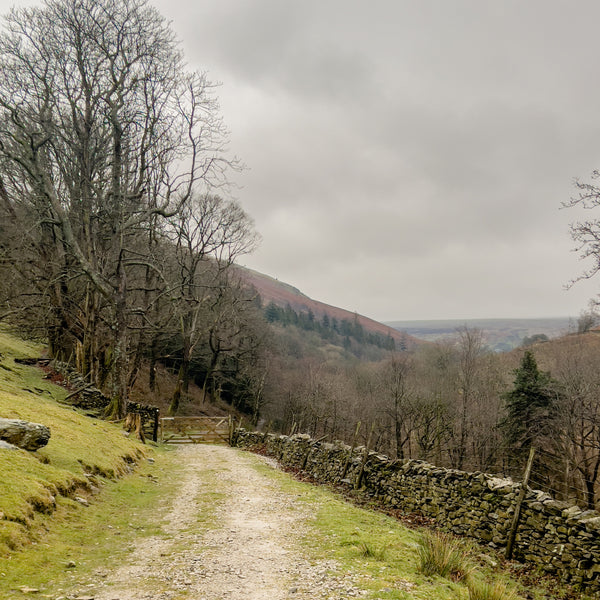 Barbon Woodland