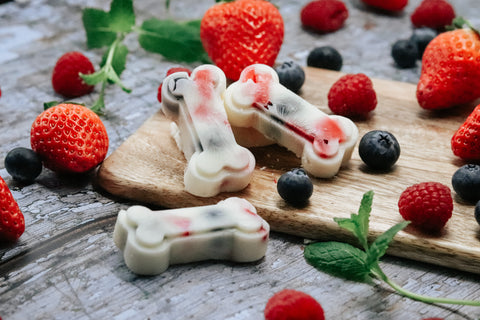 frozen fruit and yoghurt treats for dogs