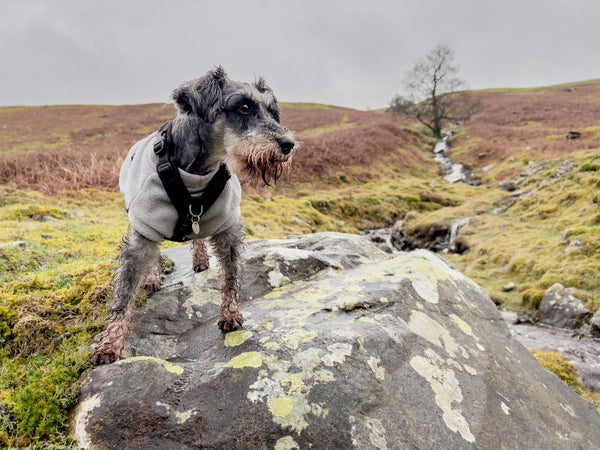 Barbon Low fell after heavy rain