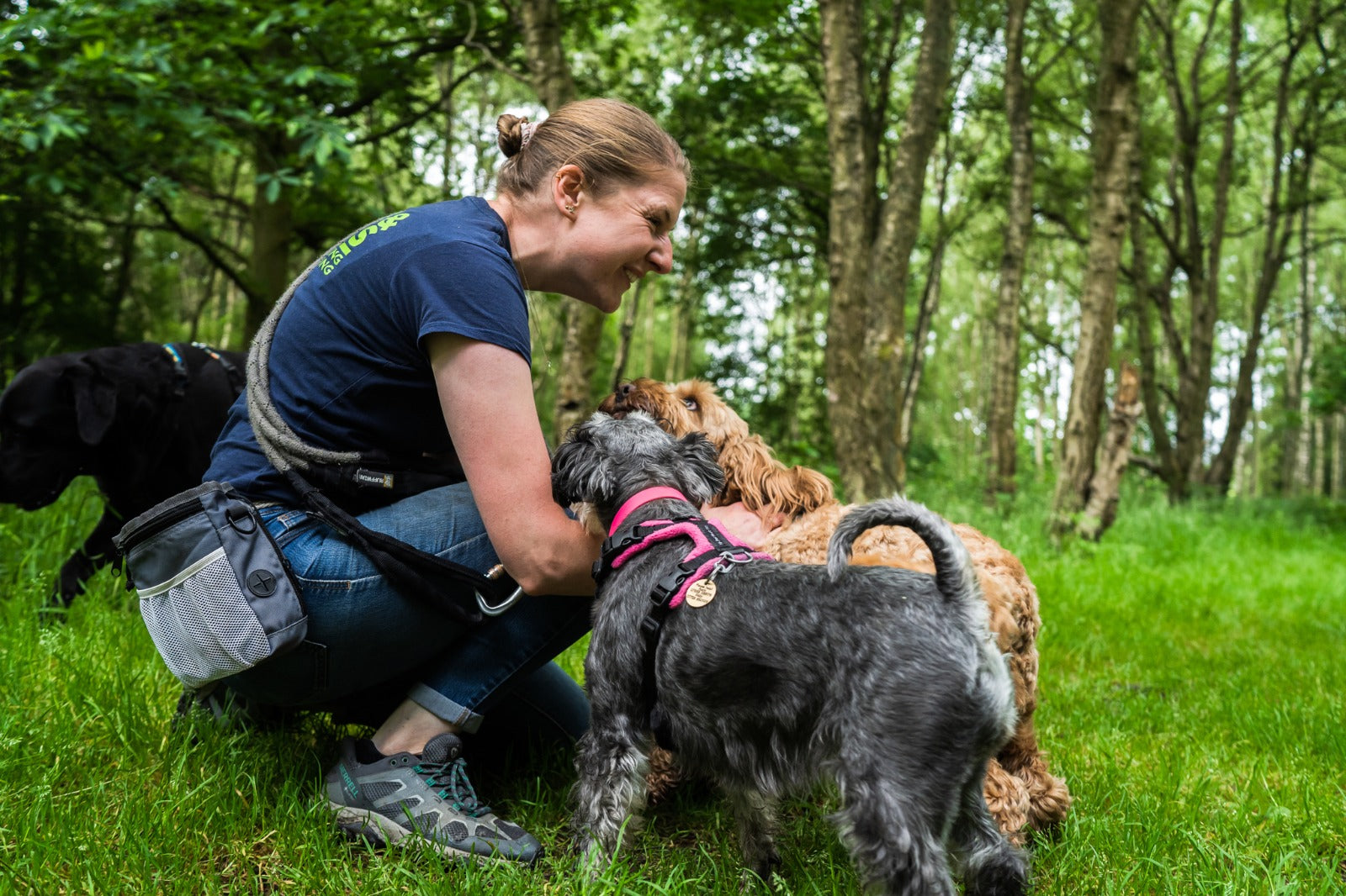 Choosing the right dog walker