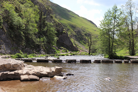 DOVEDALE STEPPING STONES - ANNUAL SCHNAUZER WALK