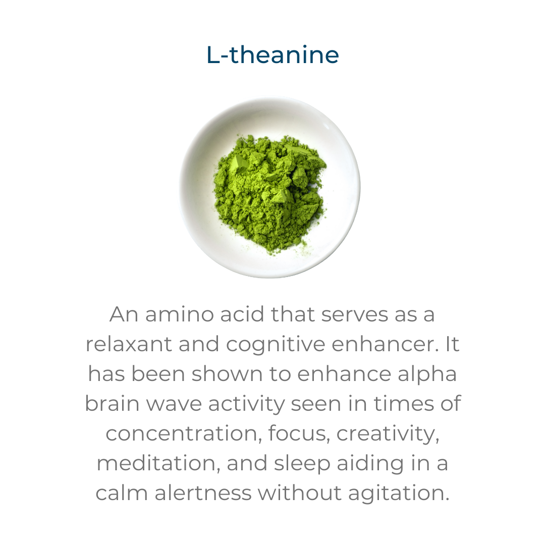 L-theanine – an amino acid that serves as relaxant and cognitive enhancer. It has been shown to enhance alpha brain wave activity seen in times of concentration, focus, creativity, meditation, and sleep aiding in a calm alertness without agitation.