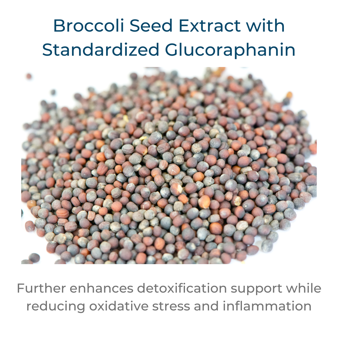 Broccoli seed extract