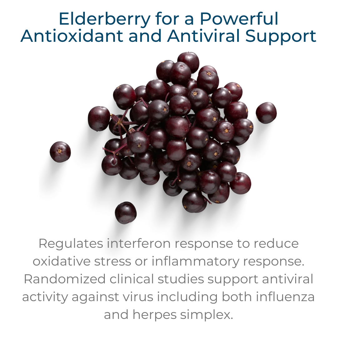 Elderberry in Elderberry Plus