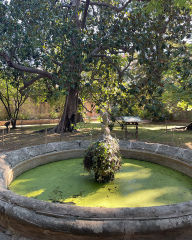 Pise, plus ancien jardin botanique universitaire - Jardiniste