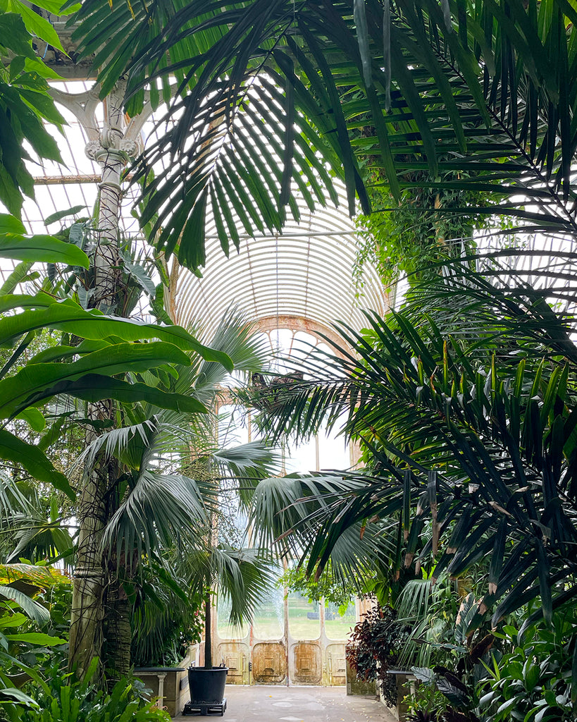 Kew Gardens Palm House
