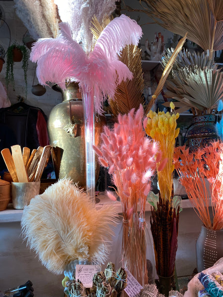 Large Pink Ostrich Feather – FENG SWAY