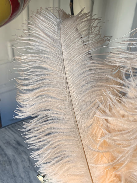 peach ostrich feathers