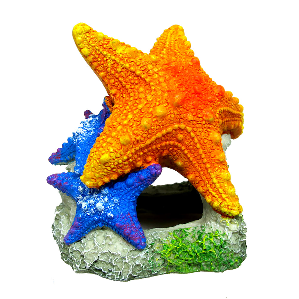 Marina Sea Star Duo Reptilian Arts