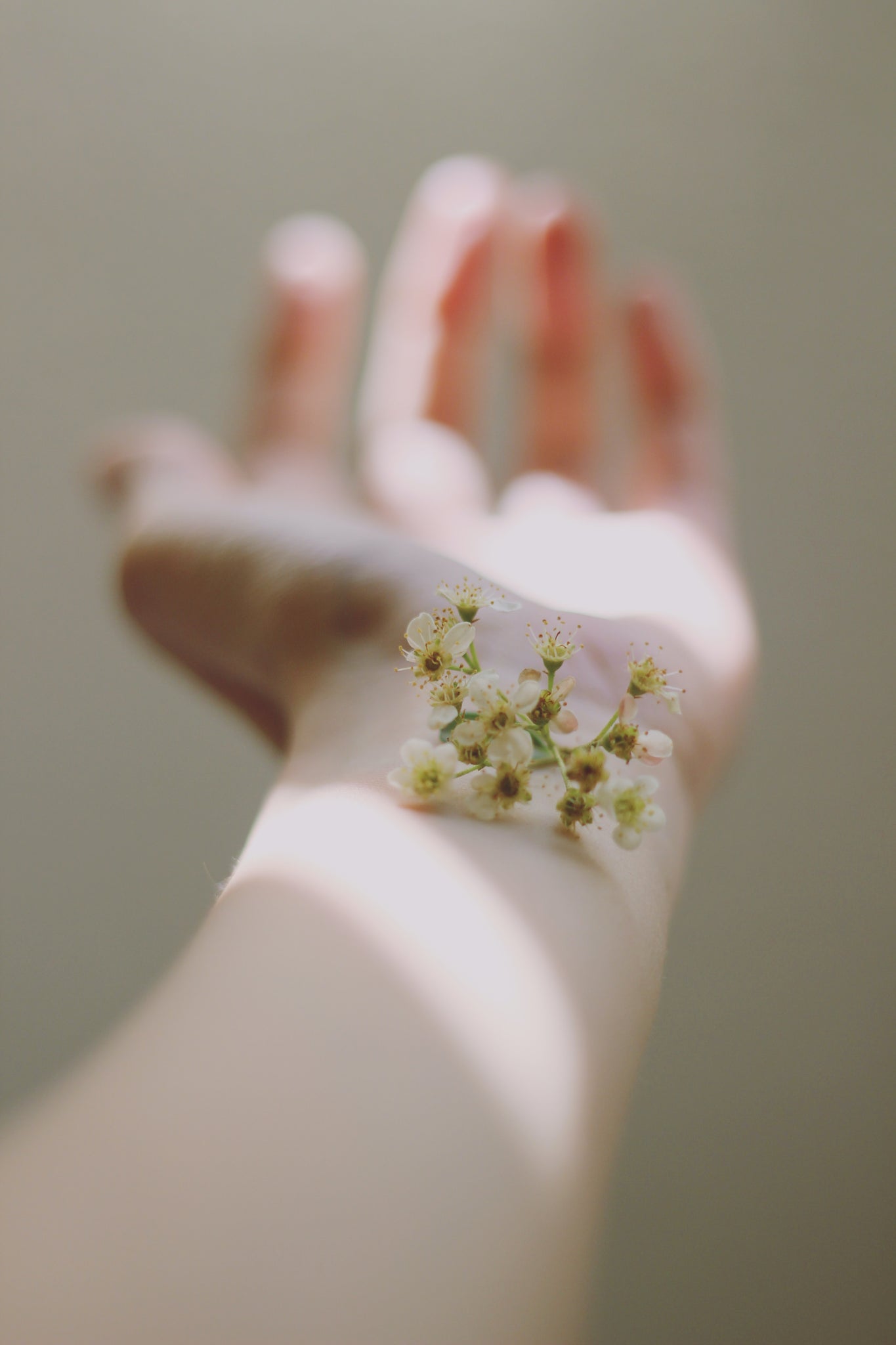 peau sensible seche fleur fragile naturel bio