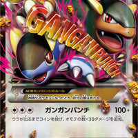 Pokemon Card Xy2 065 080 Rr Japantcg