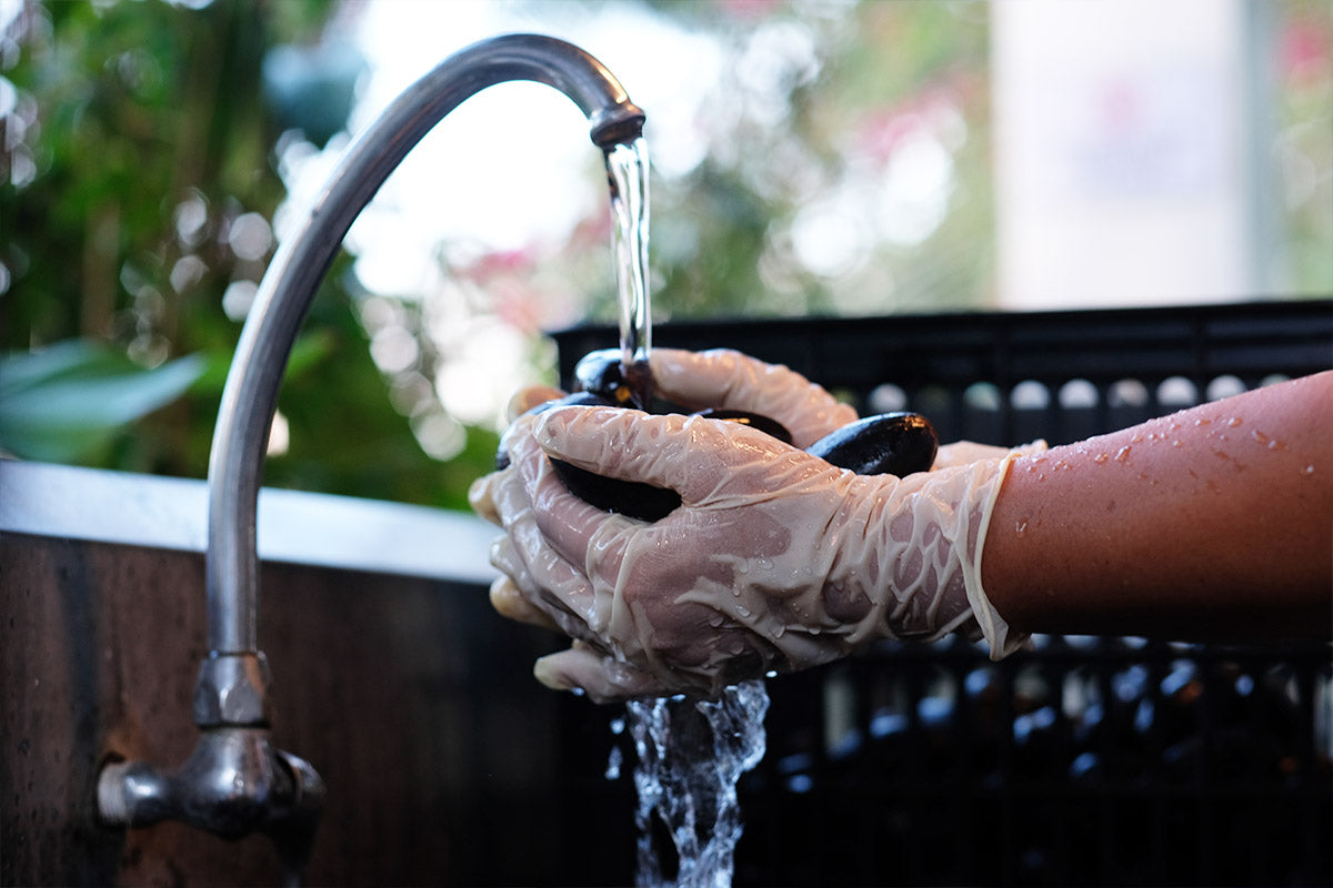 the pili fruit being washed