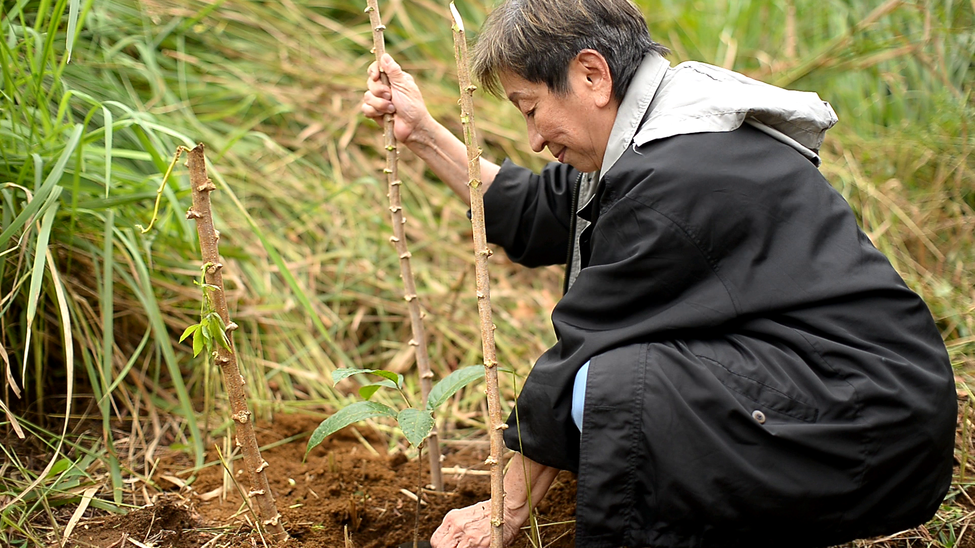 Rosalina Tan farming in Bicol, Philippines