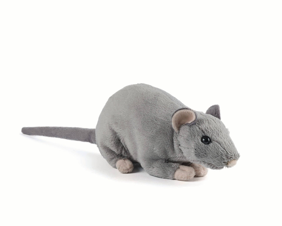 cuddly rat toy