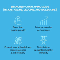 Functional Food Club Nocco Malaysia BCAA how does it works