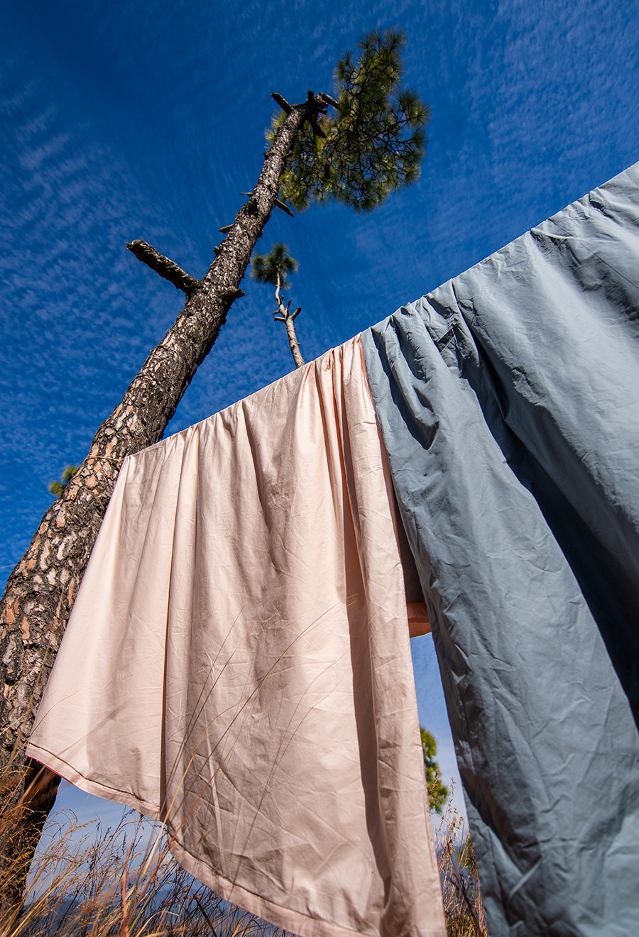 ethical banner