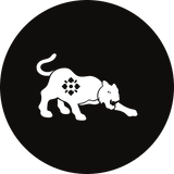 Tigre - Horoscope de mars 2024